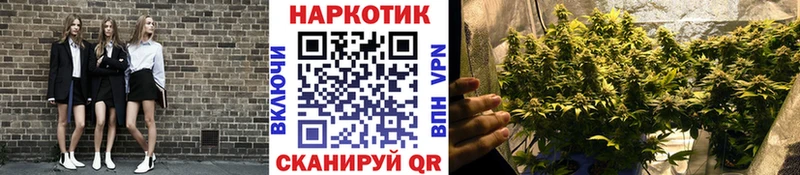 Наркота Малая Вишера COCAIN АМФ ГАШИШ Меф блэк спрут маркетплейс Alpha-PVP