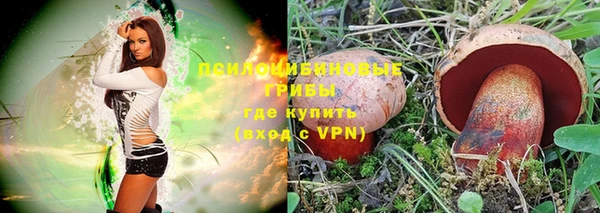 Альфа ПВП Надым